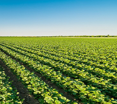 Produits phytosanitaires : Accord des experts des états membres (SCOPAFF) sur les critères d’identification des PE